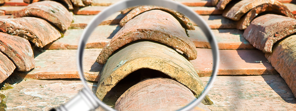 30 Home Roofing Contractor