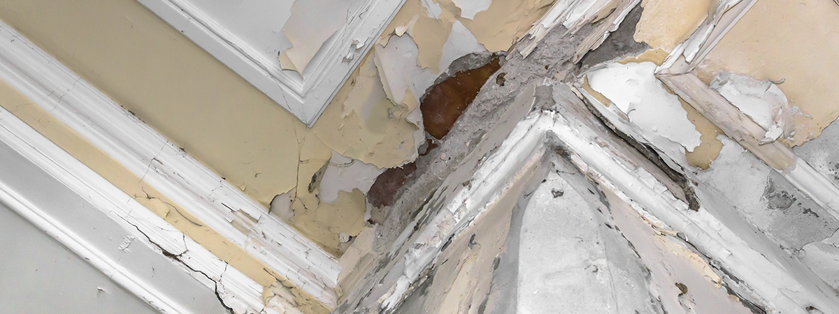 12 Roofing Services in Houston