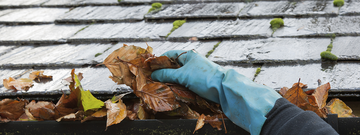 20 Roof Repair in Houston
